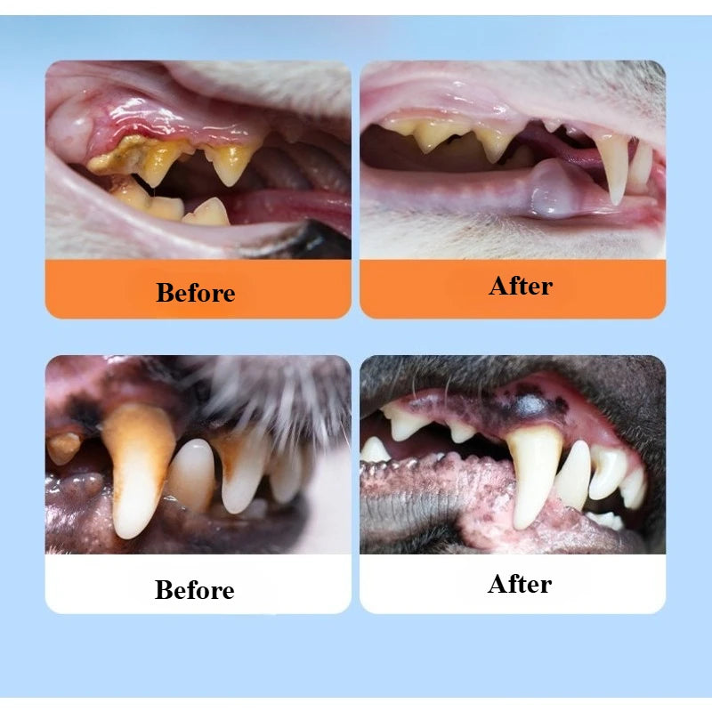 Dog Cat Mouthwash 200ml Natural Oral Care Water Additive for Fresh Breath Tartar Control Effective Teeth Cleaner Deodorizer