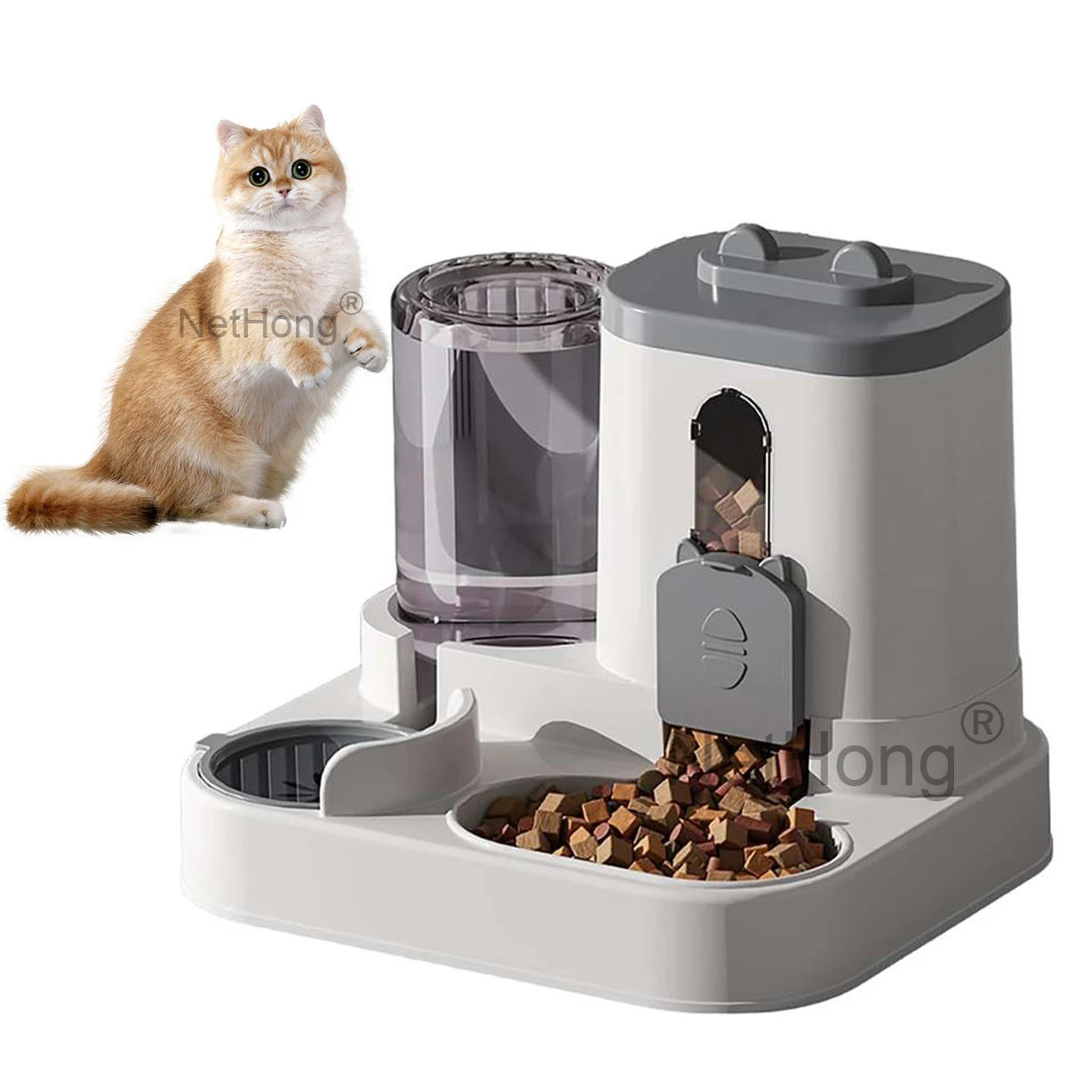Automatic Cat Dispenser Set 2 In 1 Tilted Pet Food And Water Feeder