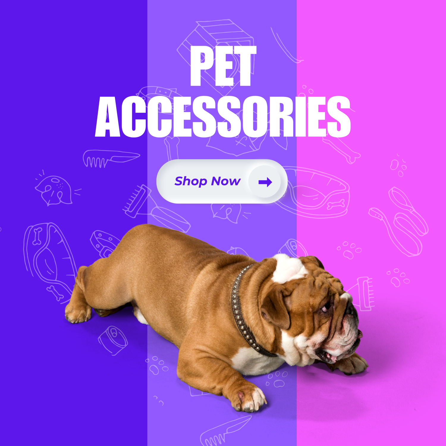 Pets Accessories