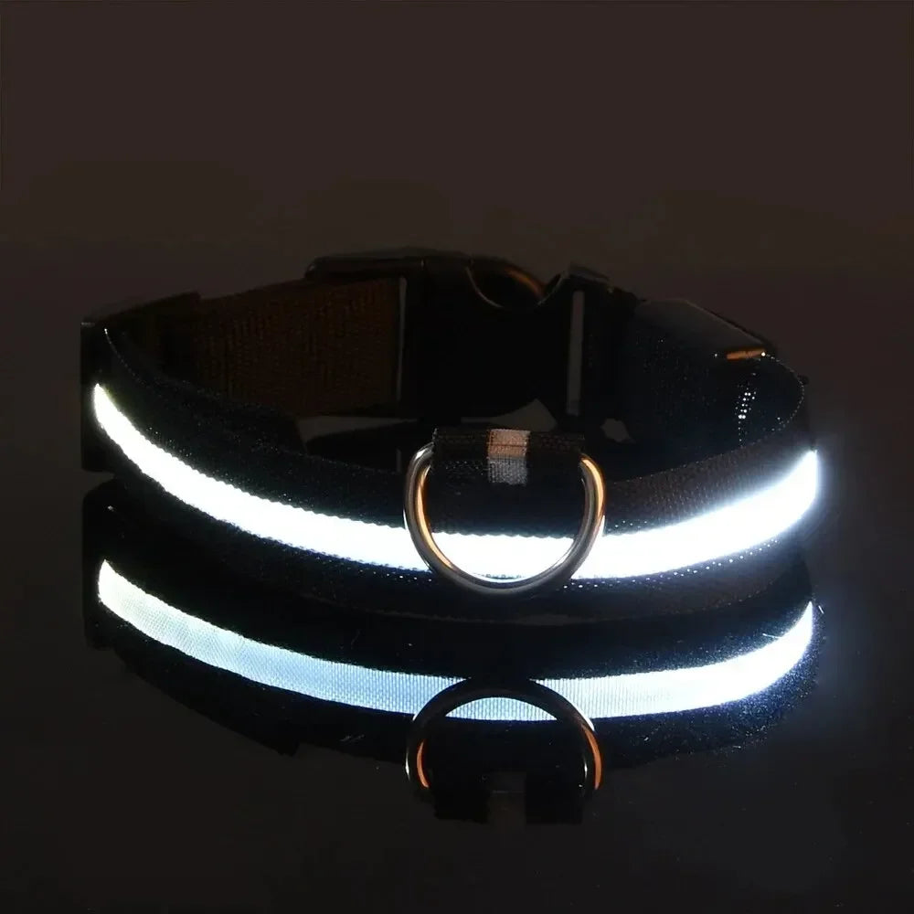 Light Up LED Pet Dog Collar Safety Night Walking Flashing Glow In The Dark LED Pet Dog Battery Collar Small Medium Large Dog