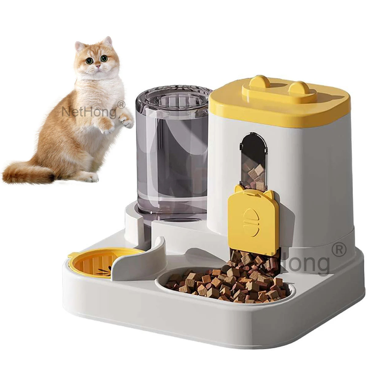 Automatic Cat Dispenser Set 2 In 1 Tilted Pet Food And Water Feeder